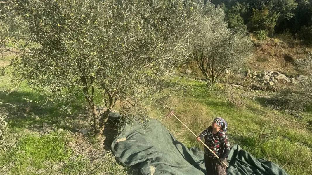 Akseki’de 88’lik Emine Teyze Gençlere Taş Çıkartıyor! 4